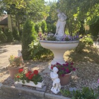 Burgundia utca - kertünk Burgundia utca - kertünk