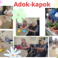 Életképeink a mindennapokból Életképeink a mindennapokból